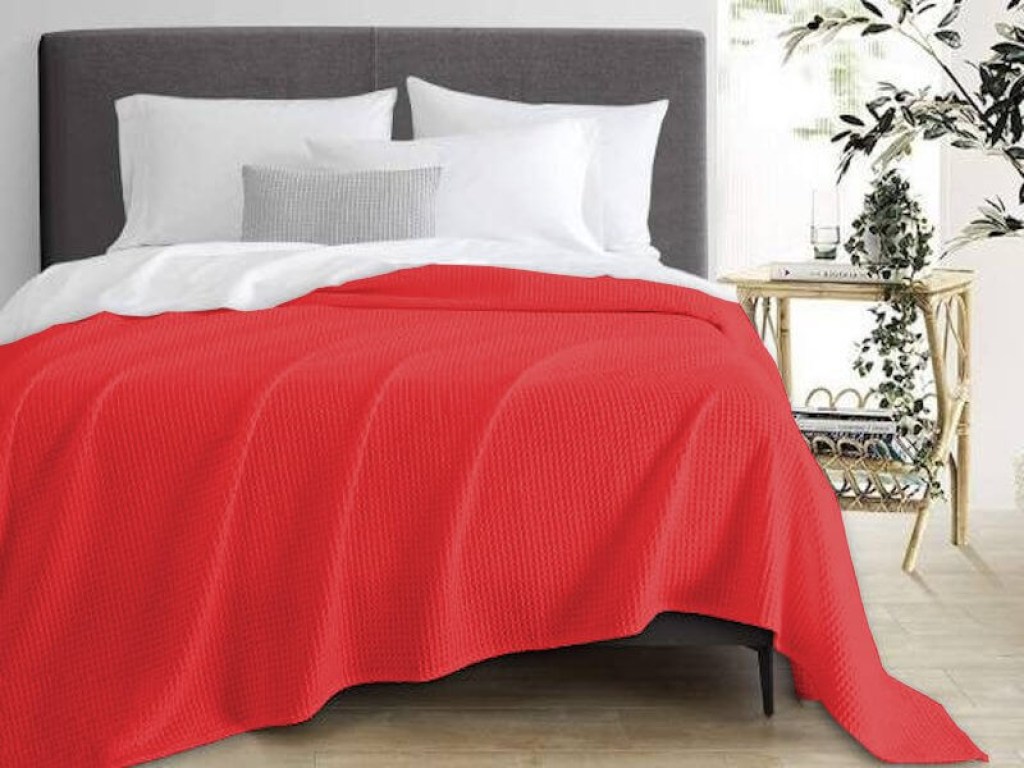 Κουβέρτα Υπέρδιπλη Πικέ Βαμβακερή Καρπουζί Γαρύφαλλο 230x250 | Γαρύφαλλο - Λευκά Είδη